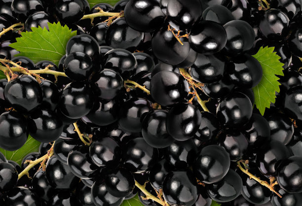 黑色马斯喀特背景图片下载