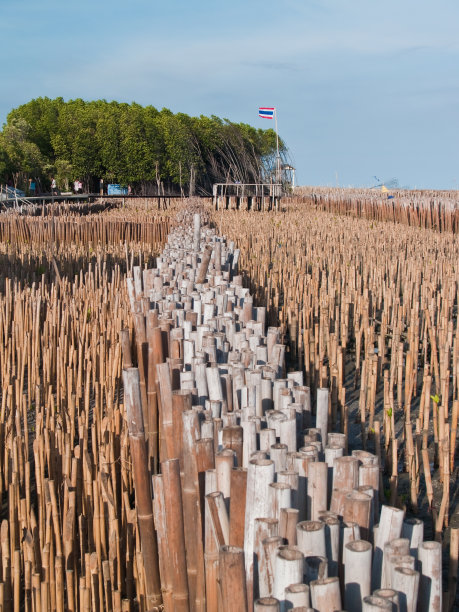 竹筒场和视点图片下载