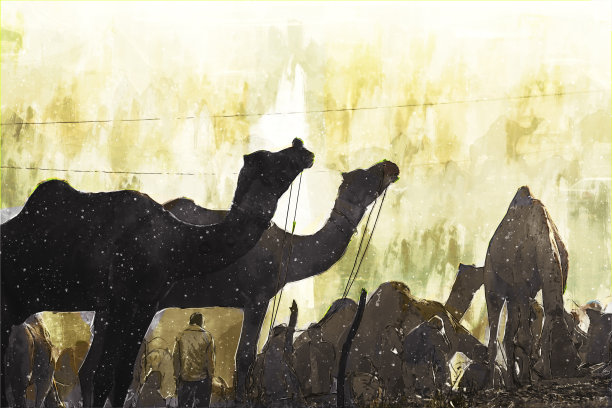 沙漠中骆驼的抽象数字绘画，印度骆驼交易会插图图片下载