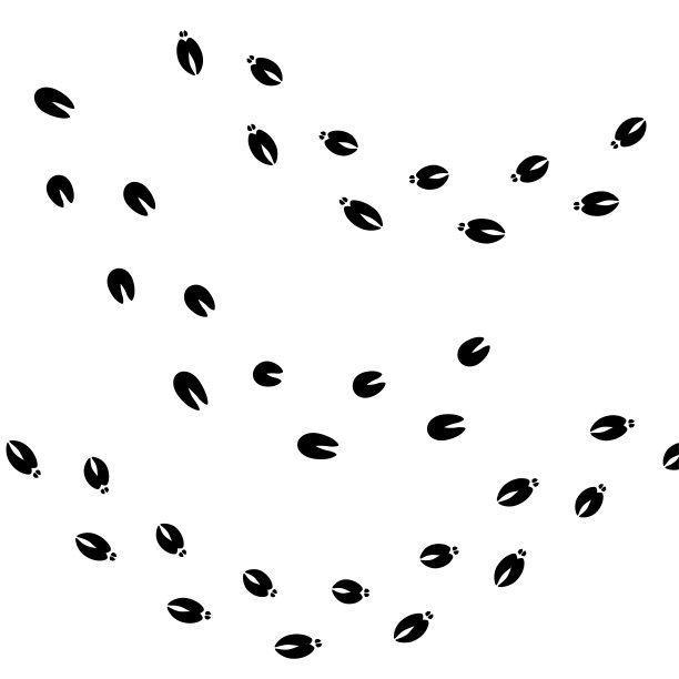 牛和猪踏黑笔触孤立在白色。蹄印，剪影，足迹。装饰理念为生态，乡村农场，乡村市场的插图装饰，广告横幅。图片下载