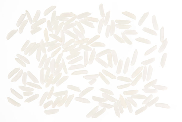 大米孤立在白色背景上俯视图照片对象设计图片下载