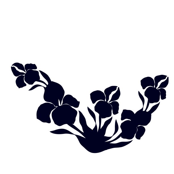 鸢尾花的剪影。图片下载