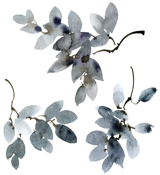 水彩画的树叶图片下载