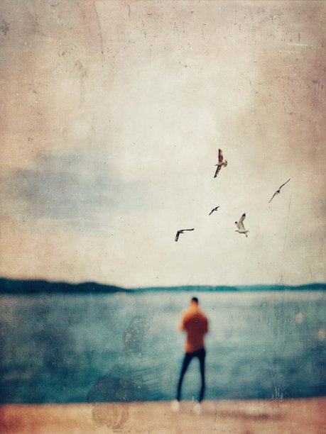 离焦的人与海鸥在海岸线图片下载