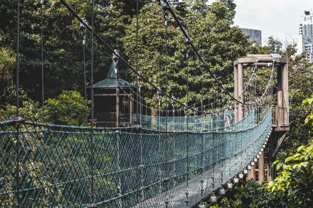 吉隆坡生态公园的吊桥图片下载