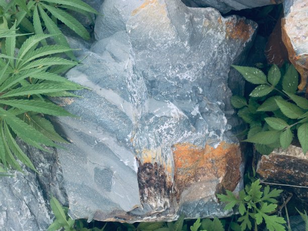 石/岩石图片下载