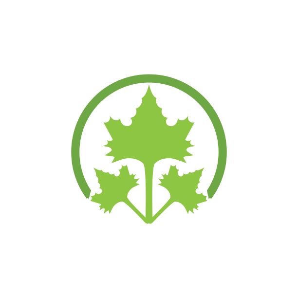 绿叶生态自然要素向量图片下载