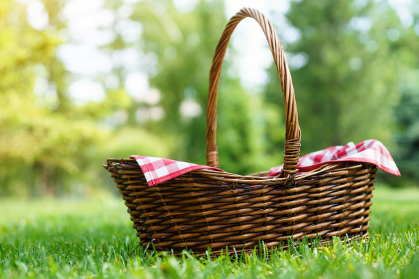 绿色阳光灿烂的草坪上的空野餐篮。图片下载