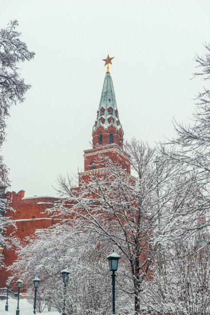 克里姆林宫塔，在前景的一棵被白雪覆盖的树，冬天，莫斯科，俄罗斯图片下载
