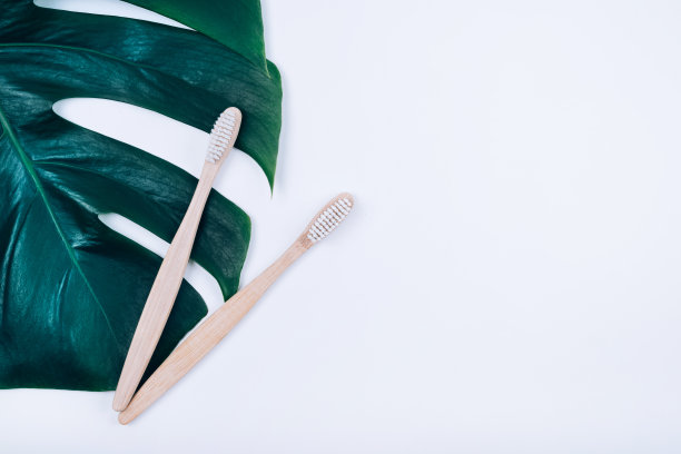 白色背景上的热带植物叶怪物上的两把竹子牙刷。塑料自由概念。图片下载