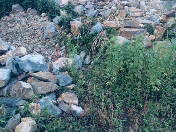 石/岩石图片下载