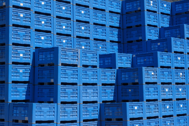 装水果和蔬菜的托盘图片下载