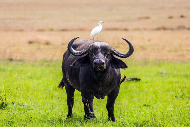 地狱之门公园图片下载