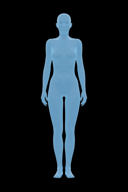 人体，女性，女性图片下载