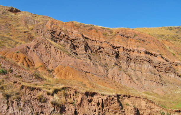 天山，在夏天图片下载