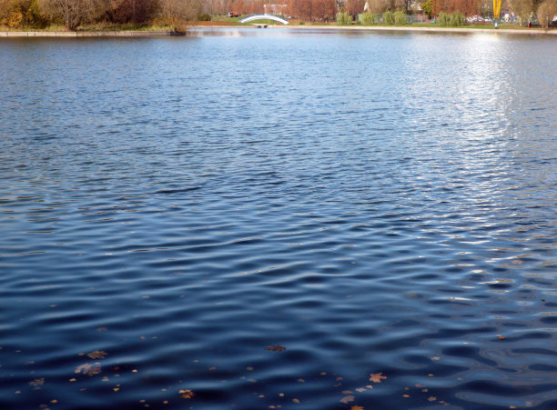 城市公园的池塘图片下载
