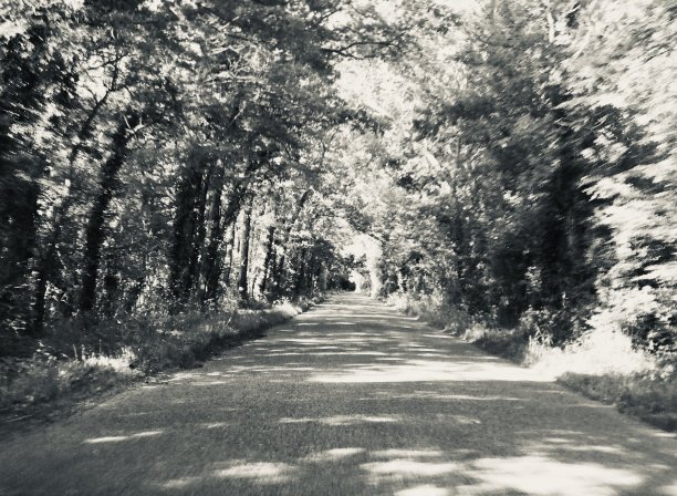 黑白车在路上行驶图片下载