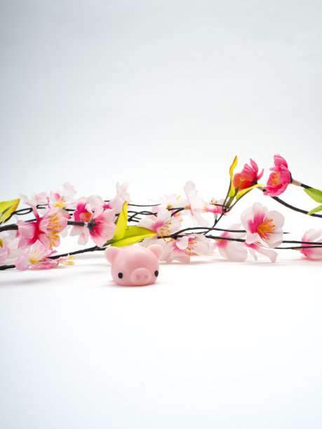 2020年农历新年猪图片下载