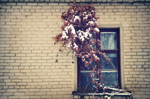 冬天的旧窗图片下载