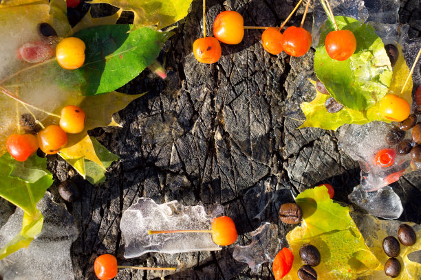 背景是黑色的咖啡豆，红色的小苹果，枸杞的浆果和冰冻的黄色枫叶图片下载