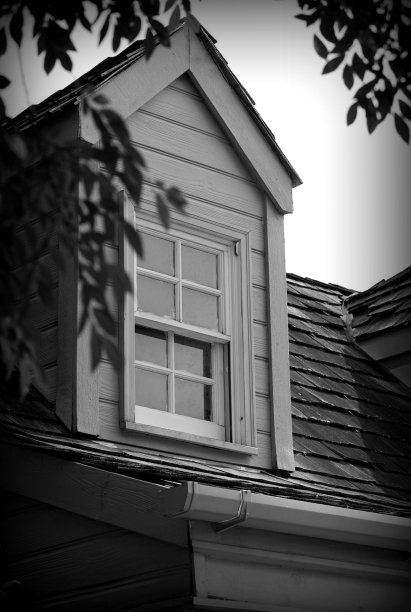 老虎窗图片下载