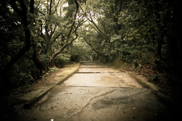 鹿儿岛城山公园图片下载