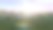 在一个美丽的夏日早晨，一群年轻的马在风景如画的绿色草地上吃草。三维渲染图片下载