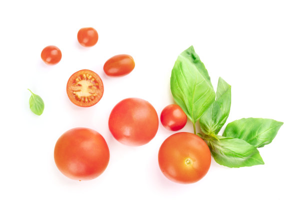 一个樱桃番茄和罗勒叶的特写照片，从上面的白色背景与复制空间图片下载