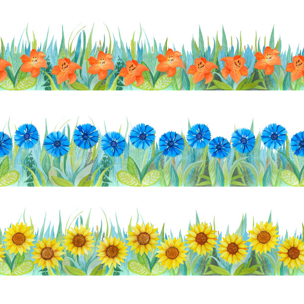 彩色花卉无缝边界。明亮的背景-草和花。图片下载
