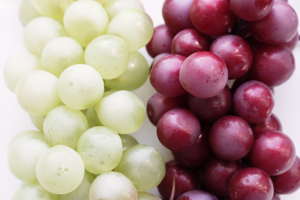 一串葡萄特写在一个白色的背景，文字的地方图片下载