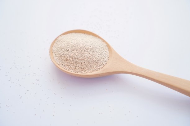 白色背景的酵母图片下载