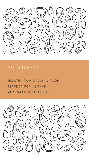 坚果和种子矢量线设计图片下载
