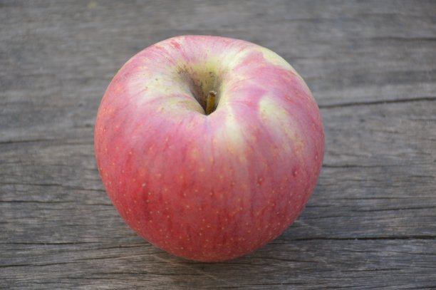 桌上有新鲜的苹果水果图片下载