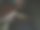 每天的笔记图片下载