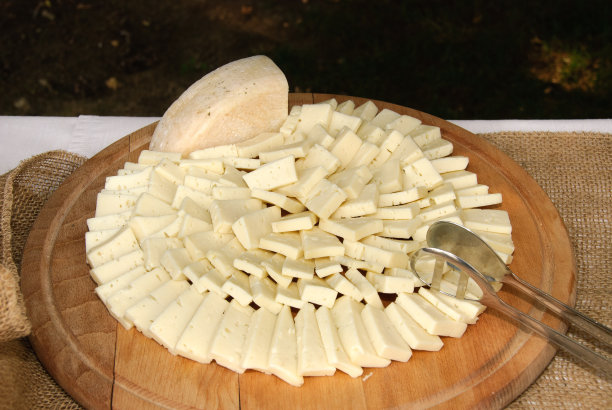 冷盘和奶酪的开胃菜图片下载