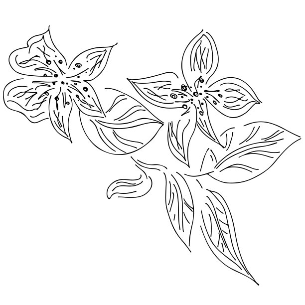 抽象手绘荷花孤立在白色背景。矢量插图。轮廓草图。俯视图图片下载