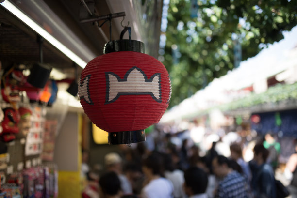 东京灯笼的细节图片下载