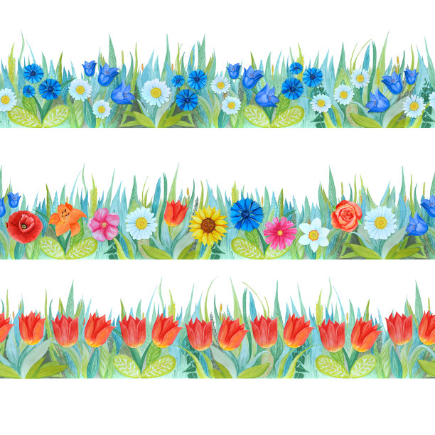 彩色花卉无缝边界。明亮的背景-草和花。图片下载