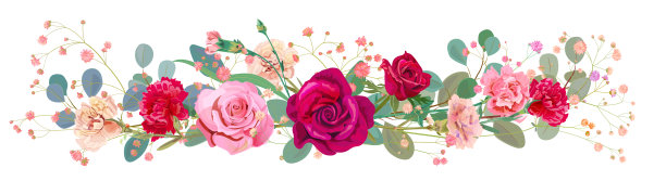 全景:玫瑰花束，康乃馨，吉卜草，桉树。水平边框:红色，粉红色的花朵，绿色的叶子，白色的背景。数字绘制插图水彩风格，复古，矢量图片下载