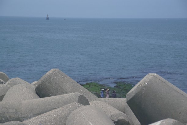 看大海图片下载