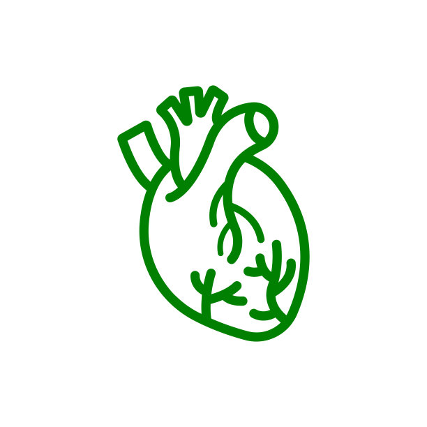 心脏，人类，向量，医疗，脉搏，跳动，波，心跳绿色图标图片下载