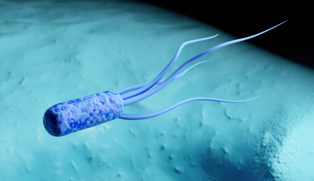 大肠杆菌(E. coli)细菌图片下载