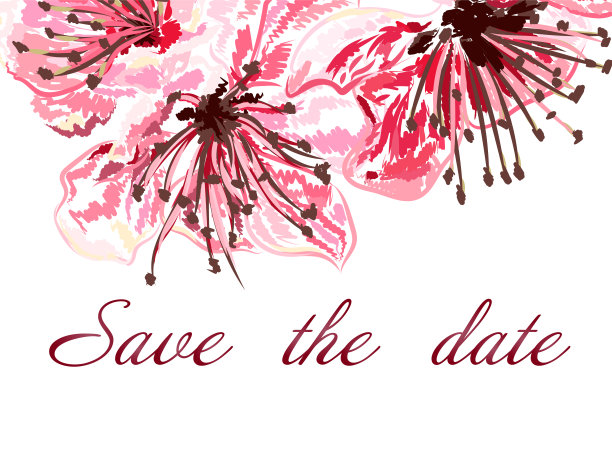 婚礼请柬上有鲜花和樱花。樱花，孤立在白色。图片下载