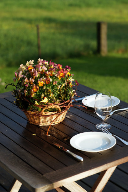雨后在花园里安排浪漫的晚餐图片下载