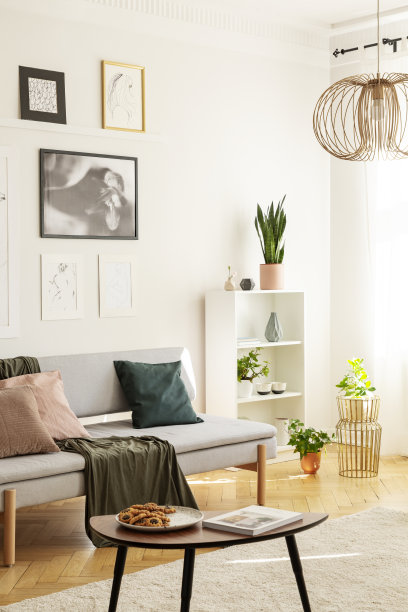 沙发旁边的地毯上的桌子，在客厅里有枕头和海报和台灯。真实的照片图片下载