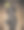 狗球图片下载
