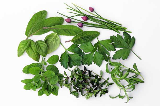 健康的厨房香草-韭菜，鼠尾草，欧芹，罗勒，香，百里香和牛至图片下载