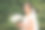 美丽的新娘穿着婚纱在公园里散步图片下载