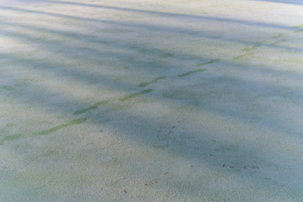 大自然有着神奇的阳光、阳光、绿油油的草地。照片用于高尔夫球的创意设计，清新的环境图片下载
