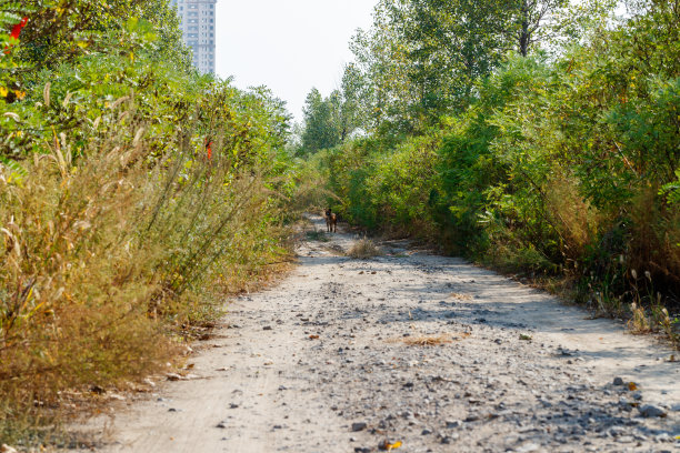 城市郊区图片下载